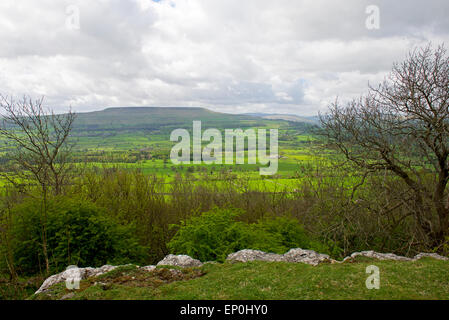 Penhill, Wensleydale, Yorkshire Dales National Park, North Yorkshire, England UK Banque D'Images