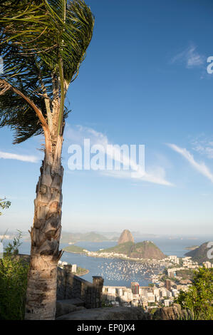 Rio de Janeiro Brésil un panorama vue de l'horizon avec vent dans les frondes de palmier Banque D'Images