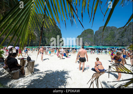 MAYA BAY, THAÏLANDE - 12 NOVEMBRE 2014 : la foule des visiteurs de soleil profiter d''une journée à l'emblématique plage de la baie de Maya. Banque D'Images