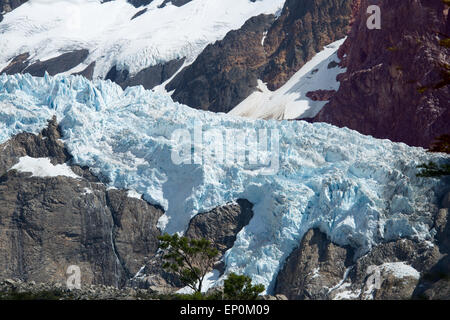 Glacier Piedras Blancas Mont Fitz Roy Gamme Parc National Los Glaciares en Patagonie argentine Banque D'Images