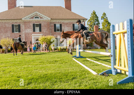 Woman riding a horse jumping un obstacle au comté de Baltimore, MD, USA Banque D'Images