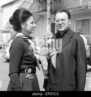 Il Theaterschauspieler Quadflieg mit Deutscher senneur Frau und Margarete Jacobs Pudel, Deutschland Ende 1960 er Jahre. Germa Banque D'Images