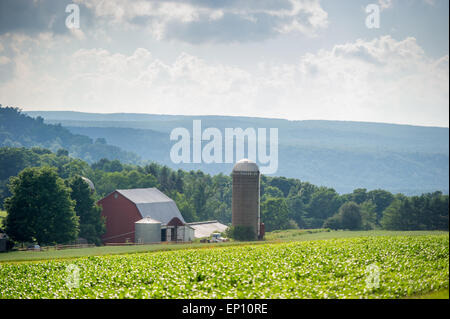 Paysage pittoresque de ferme de Garrett County, Maryland, USA Banque D'Images