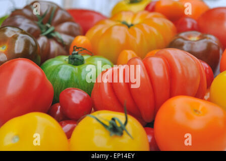 Sur une étroite avec d'autres variétés de tomates rouges et de couleurs Banque D'Images