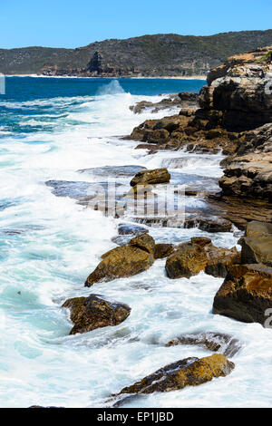 Littoral, Bouddi National Park, New South Wales, NSW, Australie Banque D'Images