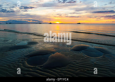 Coucher du soleil, Fraser Island, Queensland, Queensland, Australie Banque D'Images