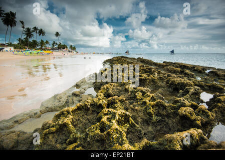 Plage de port de Galinhas, Pernambuco, Brésil Banque D'Images