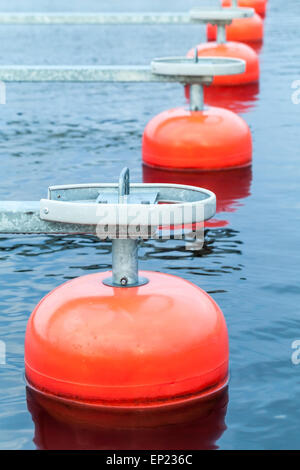 Les bouées d'amarrage rouge dans une ligne flottante sur l'eau bleue, small European yacht club, marina port fragment, photo verticale Banque D'Images