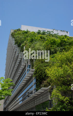 ACROS Fukuoka, Fukuoka, Japon. L'architecture écologique, en utilisant l'étape vert jardin extérieur. Banque D'Images