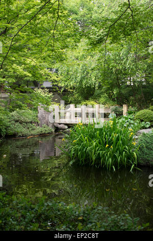Maison et jardin de thé Rakusuien, Fukuoka, Kyushu, au Japon. Banque D'Images