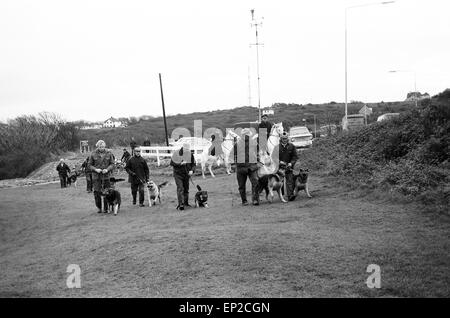 Chasse à l'homme de la Police à Newhaven Sussex 27 novembre 1974. Avec les chiens de police tracker recherche Peachaven Gold Course for missing lord Lucan voulait maintenant sur accusation de meurtre Richard John Bingham 7e comte de Lucan populairement connu comme Lord Lucan était la collègue qui a disparu dans les premières heures du 8 novembre 1974, à la suite du meurtre de Sandra Rivett ses enfants en nourrice le soir précédent. Il n'y a eu aucune observation vérifiée de lui depuis. Le 19 juin 1975 un jury d'enquête nommé Lucan que le meurtrier de Sandra Rivett. Il a été présumé décédé en instance le 11 décembre 1992 et déclarée juridiquement mort. Banque D'Images