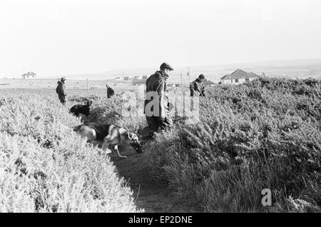 Chasse à l'homme de la Police à Newhaven Sussex 25 novembre 1974. Avec les chiens de police tracker recherche falaise harbour for missing lord Lucan voulait maintenant sur accusation de meurtre. Richard John Bingham 7e comte de Lucan populairement connu comme Lord Lucan était la collègue qui a disparu dans les premières heures du 8 novembre 1974, à la suite du meurtre de Sandra Rivett ses enfants en nourrice le soir précédent. Il n'y a eu aucune observation vérifiée de lui depuis. Le 19 juin 1975 un jury d'enquête nommé Lucan que le meurtrier de Sandra Rivett. Il a été présumé décédé en instance le 11 décembre 1992 et déclarée juridiquement mort. Banque D'Images