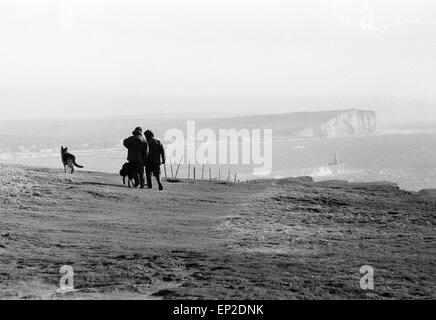 Chasse à l'homme de la Police à Newhaven Sussex 25 novembre 1974. Avec les chiens de police tracker recherche falaise harbour for missing lord Lucan voulait maintenant sur accusation de meurtre. Richard John Bingham 7e comte de Lucan populairement connu comme Lord Lucan était la collègue qui a disparu dans les premières heures du 8 novembre 1974, à la suite du meurtre de Sandra Rivett ses enfants en nourrice le soir précédent. Il n'y a eu aucune observation vérifiée de lui depuis. Le 19 juin 1975 un jury d'enquête nommé Lucan que le meurtrier de Sandra Rivett. Il a été présumé décédé en instance le 11 décembre 1992 et déclarée juridiquement mort. Banque D'Images