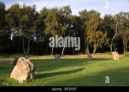 Neuf femmes Stone Circle, Stanton Moor, Derbyshire, Royaume-Uni. Selon la tradition, 9 filles ont été tourné à Pierre pour danser le dimanche Banque D'Images