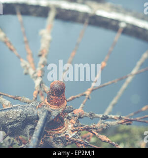 Roue de bicyclette ou vélo rouillées par l'eau Banque D'Images