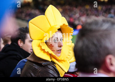 Principauté Stadium.galles, femme, femme, ventilateur, habillé, costume, jonquille, fleur nationale du Pays de Galles, au match de rugby, Pays de Galles v Nouvelle-zélande. Tous les noirs, Banque D'Images