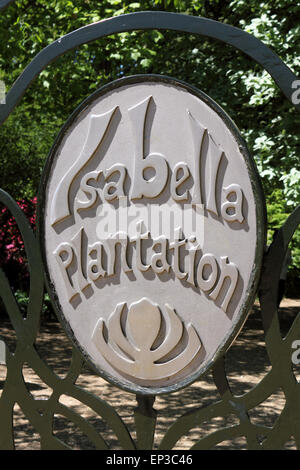 Isabella Plantation, Richmond Park, SW Londres, Angleterre. Le 13 mai 2015. Il y a un affichage éclatant de couleur à Isabella dans Plantation Richmond Park. Les azalées et les rhododendrons sont en pleine floraison de la création d'un kaléidoscope de couleurs vives de roses et violets, jusqu'à l'orange, bleu et blanc. Le jardin est libre d'entrer avec un grand parking, mais n'obtenez occupé sur une journée ensoleillée. Credit : Julia Gavin UK/Alamy Live News Banque D'Images