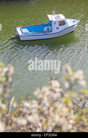 Bateau avec emblème de dragon gallois amarré au port de Porthclais près de St Davids au parc national de la côte de Pembrokeshire, pays de Galles, Royaume-Uni en mai Banque D'Images