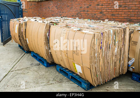 Des piles de cartons utilisés sur des palettes prêt pour le recyclage en UK Banque D'Images