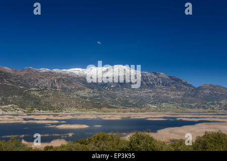 Dans le lac Stymfalia Corinthia, Grèce avec les montagnes enneigées en arrière-plan se reflétant dans les eaux du lac Banque D'Images