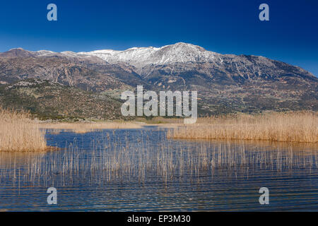 Dans le lac Stymfalia Corinthia, Grèce avec les montagnes enneigées en arrière-plan se reflétant dans les eaux du lac Banque D'Images