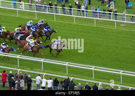 York, Royaume-Uni. 13 mai, 2015. Garçon Algar (numéro 15) monté par Sam James, force son moyen de gagner la deuxième course de la journée - l'infini - à l'Pneus Dante Festival à New York. Les courses de chevaux à York UK Crédit : John Fryer/Alamy Live News Banque D'Images