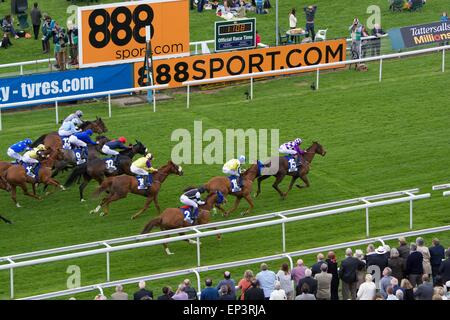 York, Royaume-Uni. 13 mai, 2015. Garçon Algar (numéro 15) monté par Sam James, force son moyen de gagner la deuxième course de la journée - l'infini - à l'Pneus Dante Festival à New York. Les courses de chevaux à York UK Crédit : John Fryer/Alamy Live News Banque D'Images