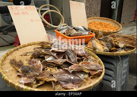 Le poisson séché à une piscine en plein air de la rue du marché, le village de pêcheurs Tai O situé sur l'île de Lantau, Hong Kong Banque D'Images