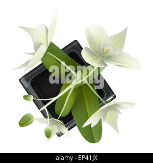 Vue du dessus de l'orchidée, fleur en pot isolated on white Banque D'Images