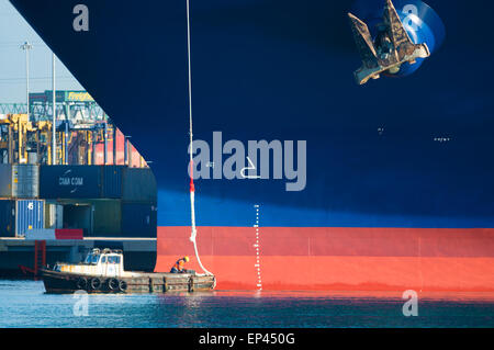 Southampton, UK. 13 mai, 2015. Le processus commence de monopoliser le 3e plus grand porte-conteneurs au monde le CMA CGM comme Kerguelen il quais à Southampton sur son voyage inaugural. Credit : Esme Vangelis/Alamy Live News Banque D'Images