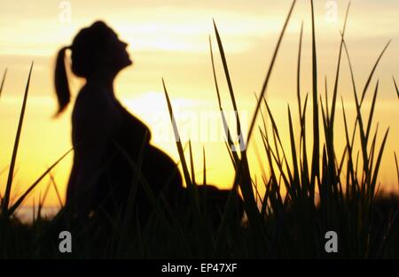 Sunset Silhouette de femme enceinte assis parmi l'herbe haute Banque D'Images