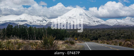 Kiwi signe sur la route vers le Mont Ngauruhoe, Nouvelle-Zélande Banque D'Images