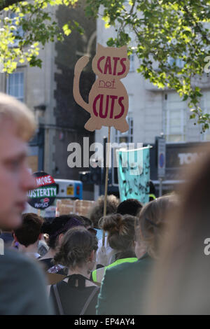 Bristol, Royaume-Uni. 13 mai, 2015. Réductions Pas de chats : Crédit Rob Hawkins/Alamy Live News Banque D'Images