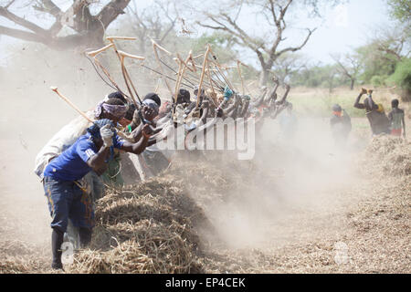 Les préparateurs d'arachide en pays, Seine de Saloium, Sénégal, novembre 2012 Banque D'Images