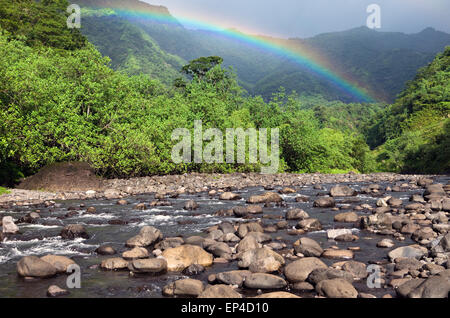 Tahiti. Polynésie française. Montagne, rivière et rainbow Banque D'Images