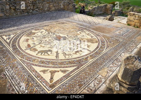 Volubilis, ancienne ville romaine dans la région de Zerhoun montagnes, près de Fès. Vue de la mosaïque dans Orpfeus chambre. Maroc Banque D'Images