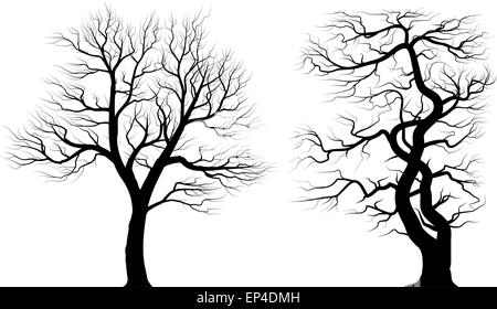 Silhouettes de vieux arbres gigantesques sur fond blanc. Vector illustration noir et blanc. Illustration de Vecteur