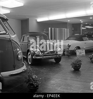 Angebote im im Showroom VW Autohaus Berlin, Deutschland 1950 er Jahre. Les voitures offertes dans le showroom d'un concessionnaire VW à l'E Banque D'Images