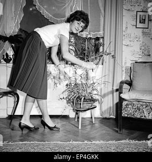Eine junge Frau kümmert sich um die Pflanzen in Ihrem Wohnzimmer, Deutschland 1960 er Jahre. Une jeune femme d'arroser les fleurs un Banque D'Images
