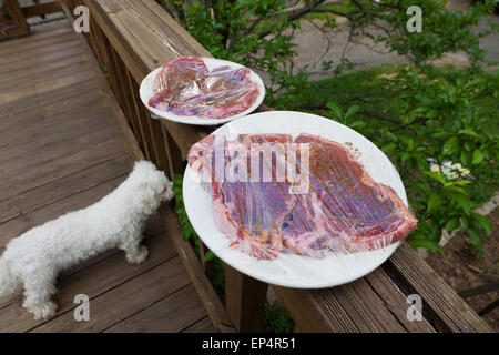 Steak de boeuf cru enveloppés et faire mariner - USA Banque D'Images