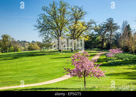 Le parc sur le Bowood Estate dans le Wiltshire au printemps. Banque D'Images