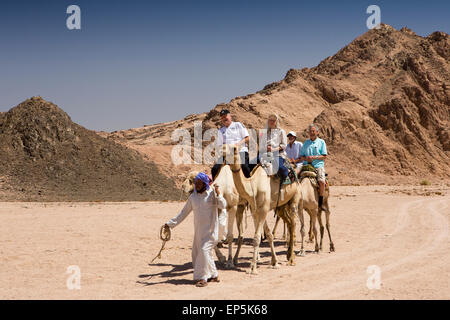 L'Egypte, le Sinaï, Sharm el Sheikh, le Parc National de Nabq, Bédouins du désert en chameau touristes donnant Banque D'Images