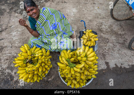 Femme indienne la vente de bananes dans un marché à Tiruvannamalai, Tamil Nadu, Inde Banque D'Images