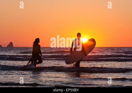 Surfeurs à l'eau à la plage de Perran Sands à Rolvenden, une station balnéaire populaire / Surf resort North Cornwall, Angleterre. Le coucher du soleil. Banque D'Images