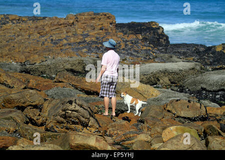 Petit chien en train de marcher avec son propriétaire dans la station balnéaire de Scarborough, près de Cape Town, Afrique du Sud. Banque D'Images