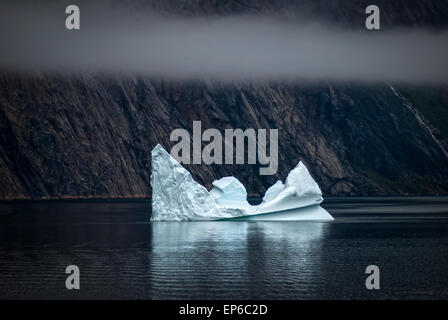 Petit iceberg dans Prince Christian Sound, le sud du Groenland Banque D'Images