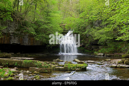 Chutes de West Burton, Bishopdale, Yorkshire Dales National Park, England UK Banque D'Images