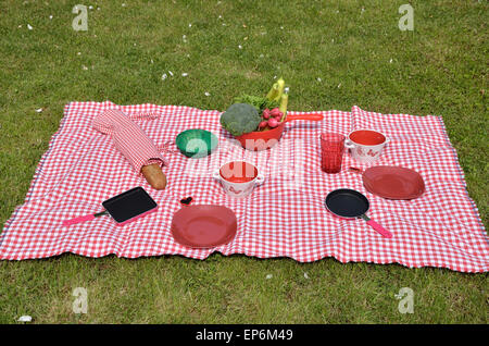 Nappe blanche et rouge avec vaisselle en porcelaine, les casseroles et les légumes de printemps sur il situé sur pelouse verte Banque D'Images