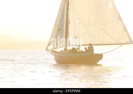 L'Alice E., une amitié Sloop construit en 1899, voiles dans le soleil couchant juste en dehors de Northeast Harbor, Maine. Banque D'Images