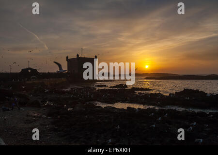 Essaouira ville côtière au coucher du soleil Banque D'Images